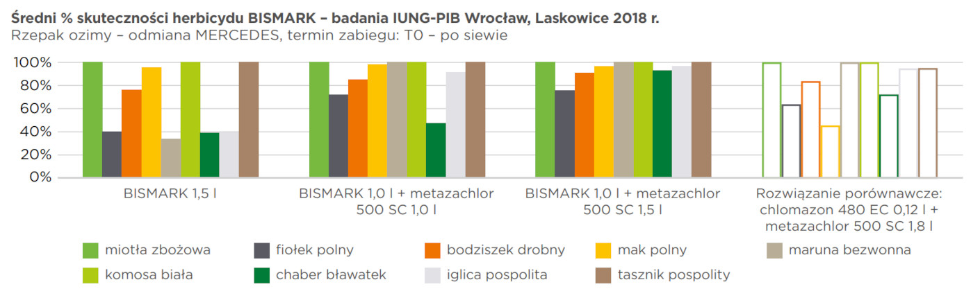 bismark badania