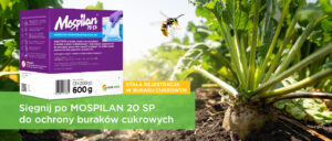 Sięgnij po MOSPILAN 20 SP do ochrony buraków cukrowych – stałe rozszerzenie rejestracji