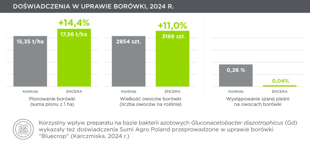 Skuteczność ENCERY w uprawie borówki