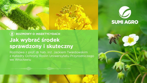 zobacz wideo jak wybrać insektycyd sprawdzony i skuteczny