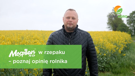 zobacz wideo mospilan 20 sp w rzepaku cz. 2 poznaj opinię rolnika