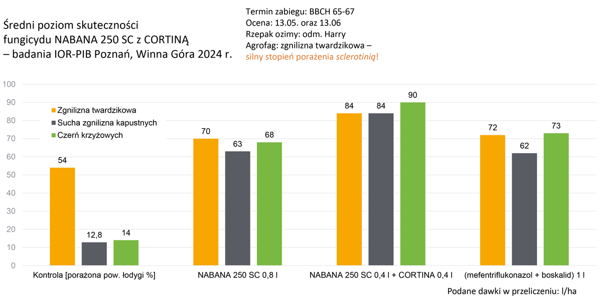 cortina skuteczność badania
