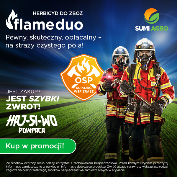 kup w promocji herbicyd do zbóż flame duo 354 sg