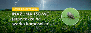 INAZUMA 130 WG na szarka komośnika i inne nowości w etykiecie