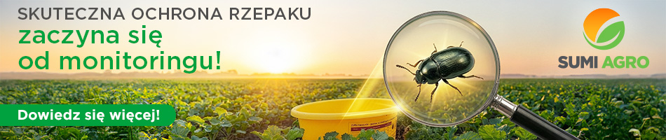 Skuteczne zwalczanie szkodników rzepaku zaczyna się od prawidłowego monitorowania ich obecności. 