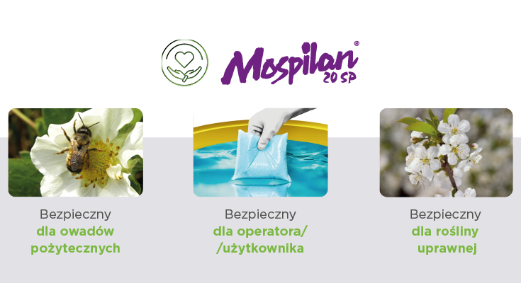Mospilan 20 SP – rekomendowany i bezpieczny