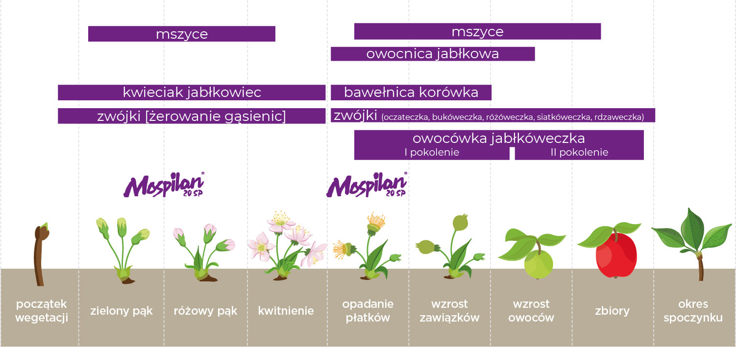 Stosowanie w&nbsp;sadach