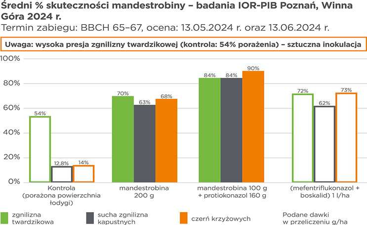 średni procent skuteczności mandestrobiny