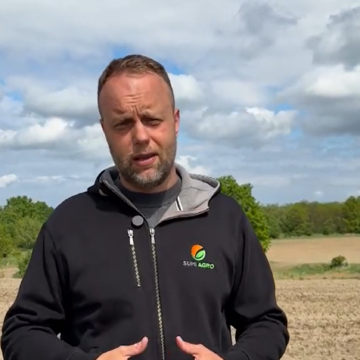 Dolny Śląsk: Zwalczanie trudnych chwastów w kukurydzy. Zobacz interwencję naszego eksperta! (wideo)