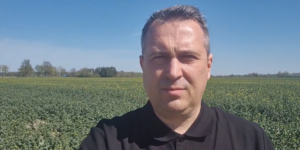 Lubelskie: Czy rzepak w fazie 2–3 liści jest bezpieczny? rozmowa z ekspertem