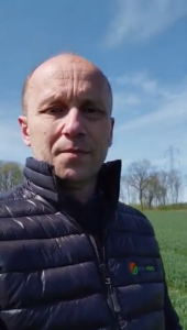 Mszyce w pszenicy jesienią – jak zapobiegać groźnemu wirusowi BYDV?