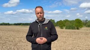 Śmietka kapuściana w rzepaku – jak skutecznie chronić plantację jesienią?